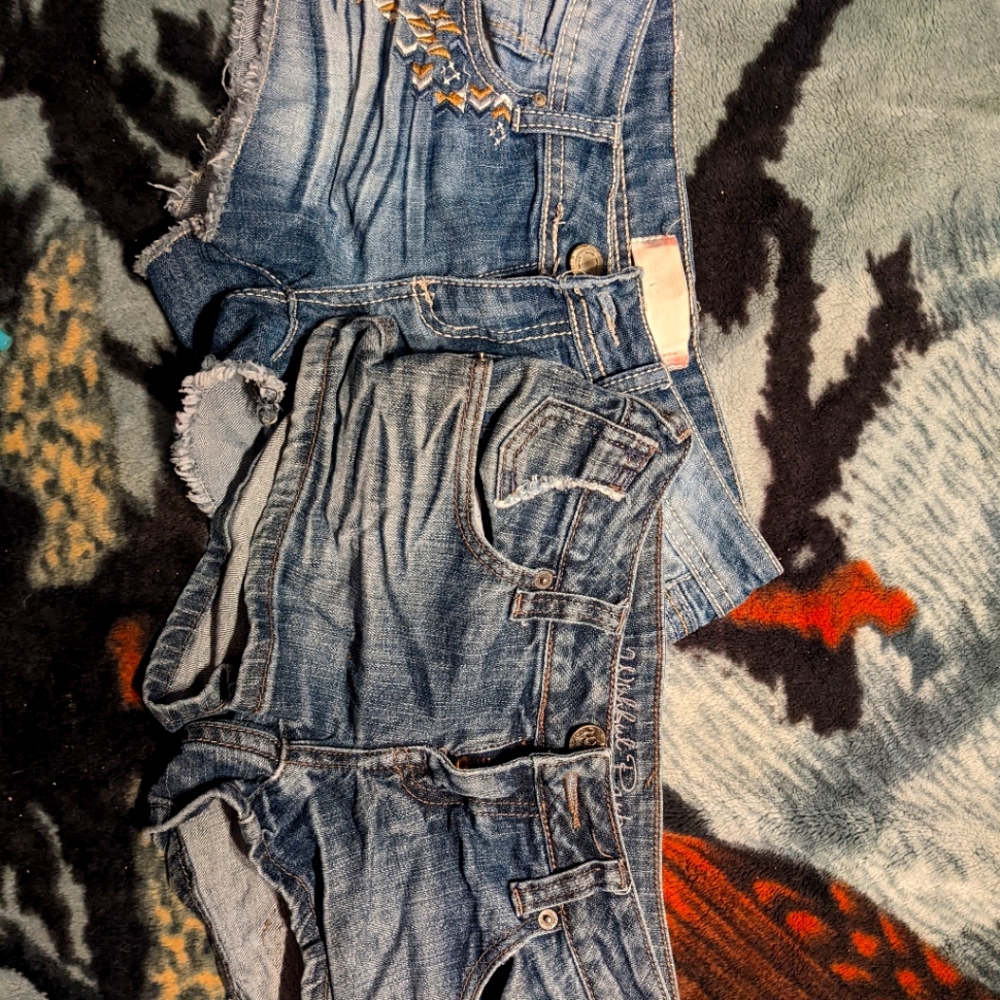 2 pair of woman's shorts